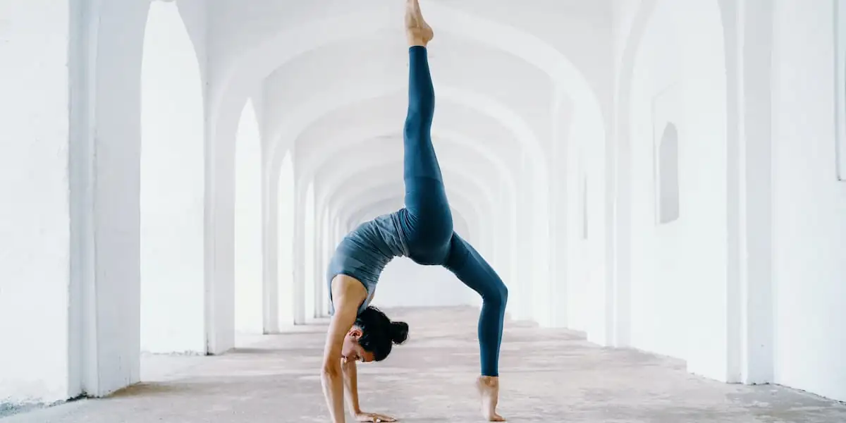 Prolific Health Fitness Womens Yoga Pants Leggings India